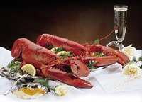 2_legal_lobsterswithoutpot.jpg