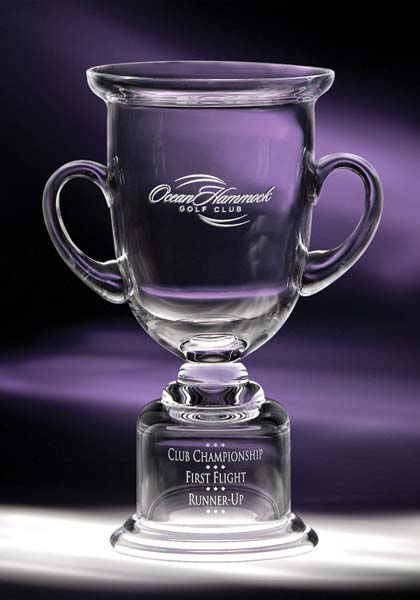 Medium Reaching Goals Cup Crystal Award