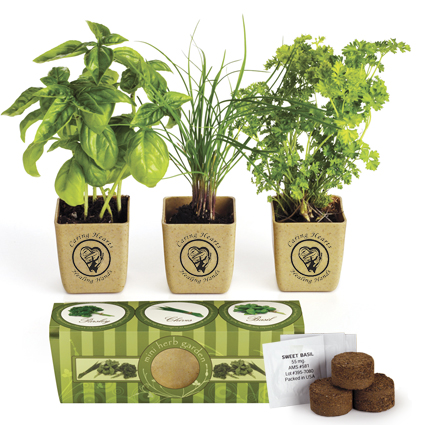 Eco-Planter 3-Pack Herb Planter Set