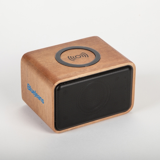 Combination Speaker and Charger with logo