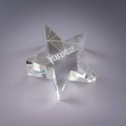 Crystal Optic Star Paperweight