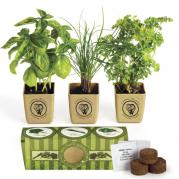 Eco-Planter 3-Pack Herb Plant Set